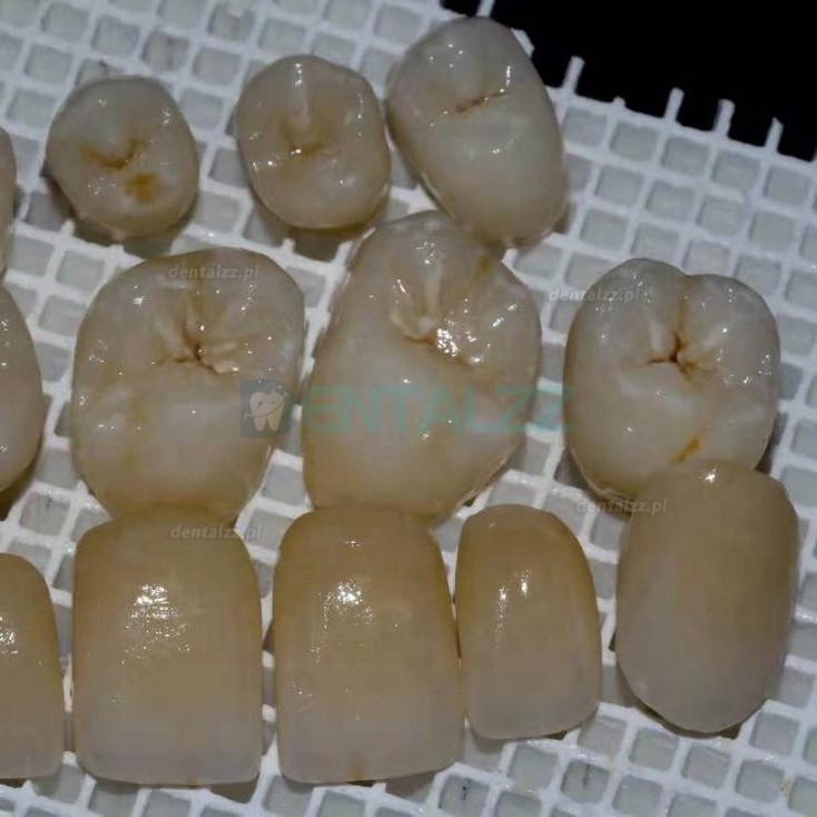 1 szt. Blok ceramiczny 3D ProMax z tlenku cyrkonu laboratorium dentystyczne CAD/CAM